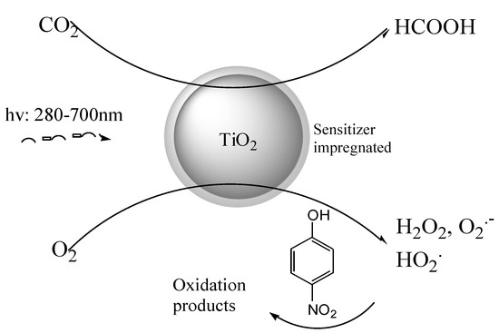 Molecules 20 00396 g001 550