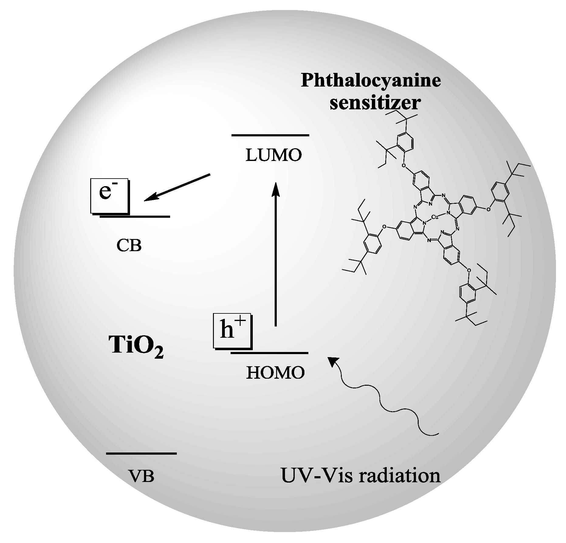 Molecules 20 00396 g006