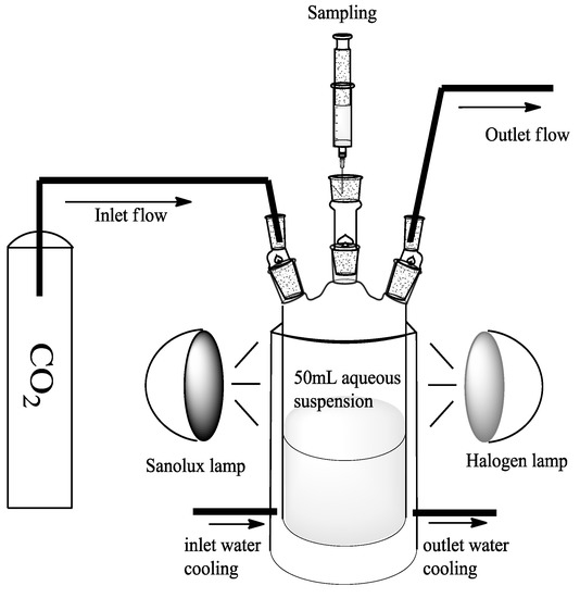 Molecules 20 00396 g008 550