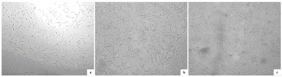 Molecules 20 00595 g007 550