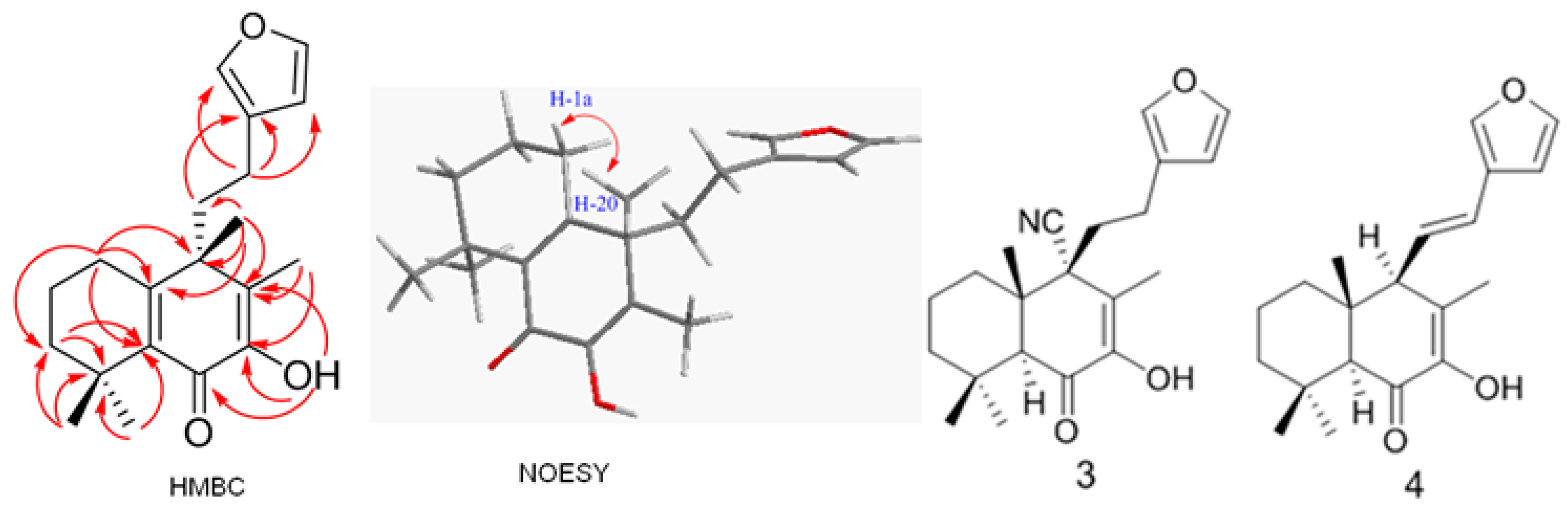 Molecules 20 00839 g003