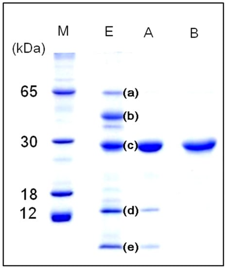 Molecules 20 00987 g002 550