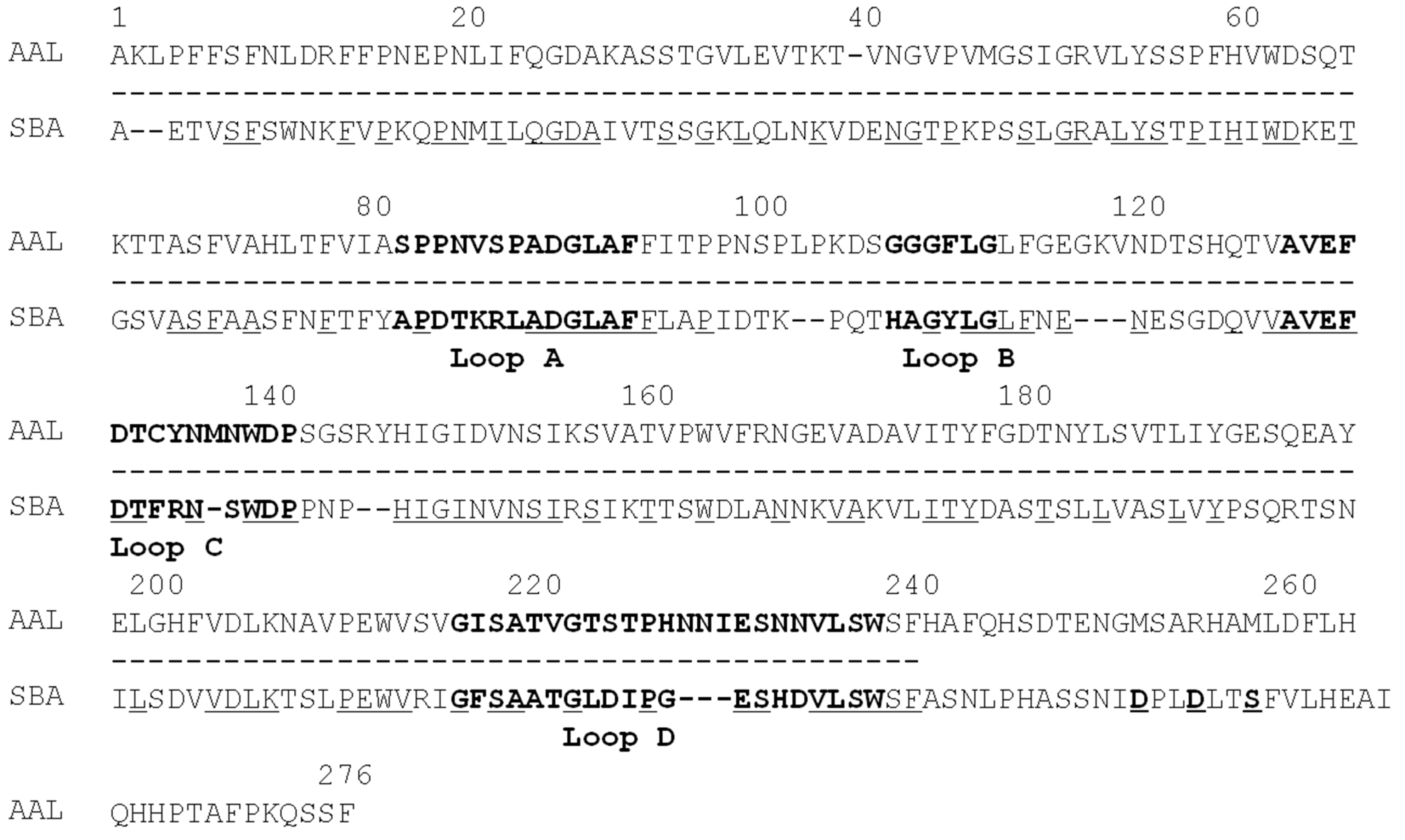 Molecules 20 00987 g006