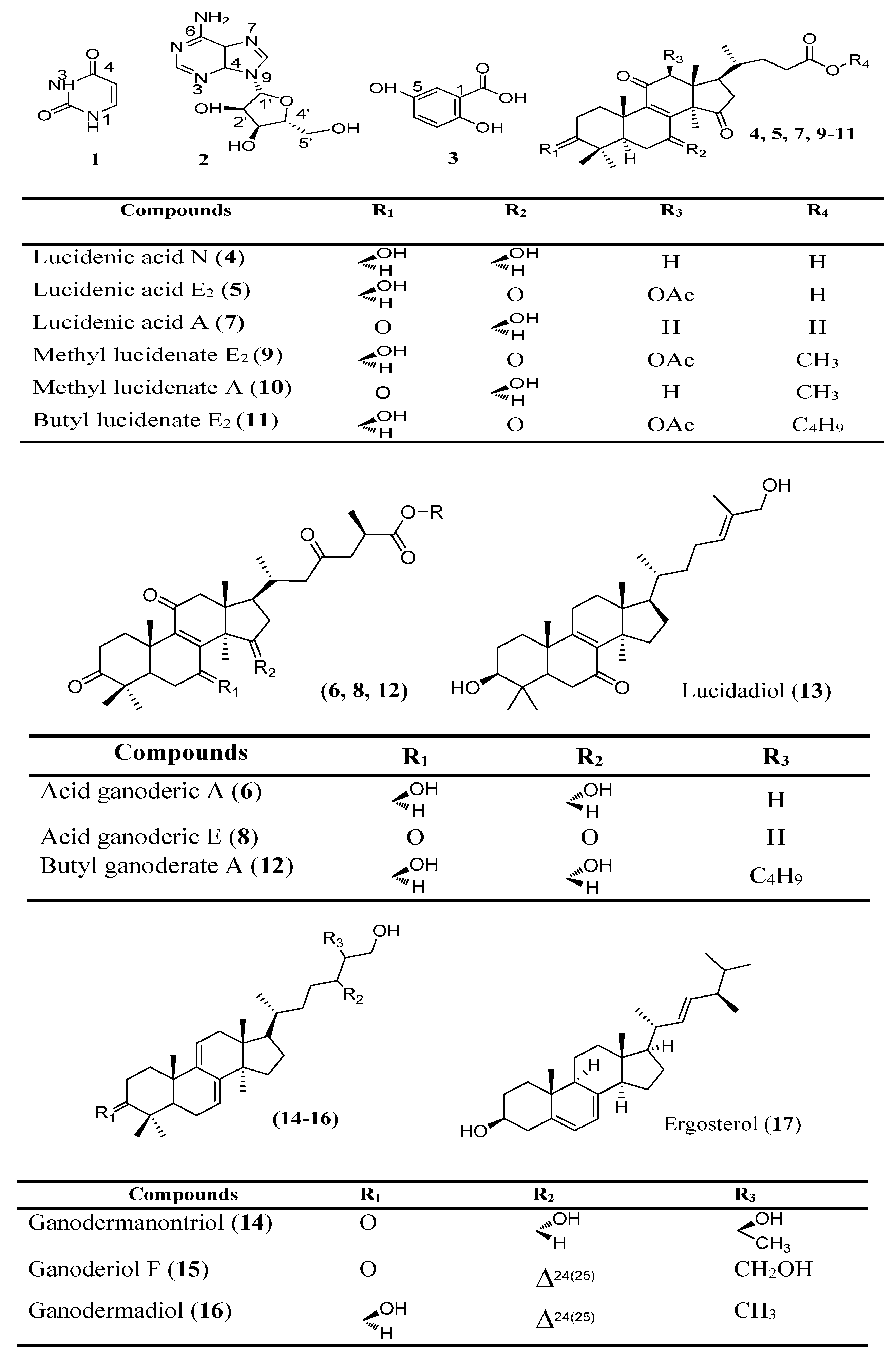 Molecules 20 01059 g001