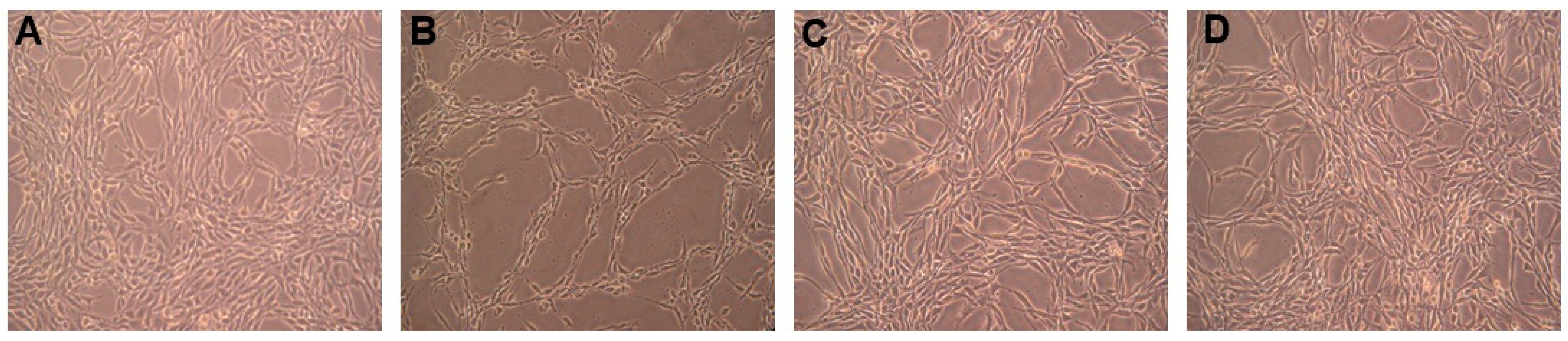 Molecules 20 01304 g003
