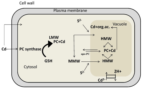 Molecules 20 01410 g001 550