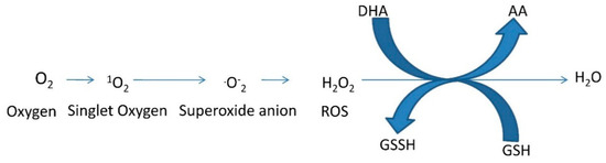 Molecules 20 01410 g006 550