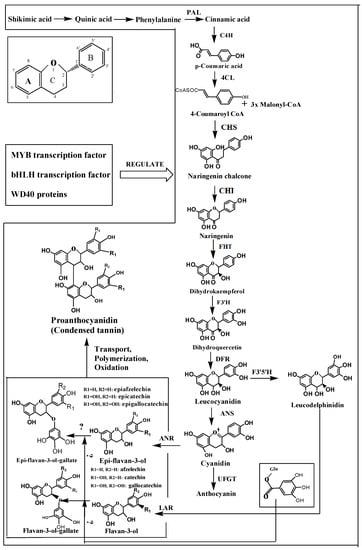 Molecules 20 01434 g001 550