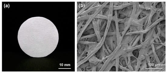 Molecules 20 01495 g001 550