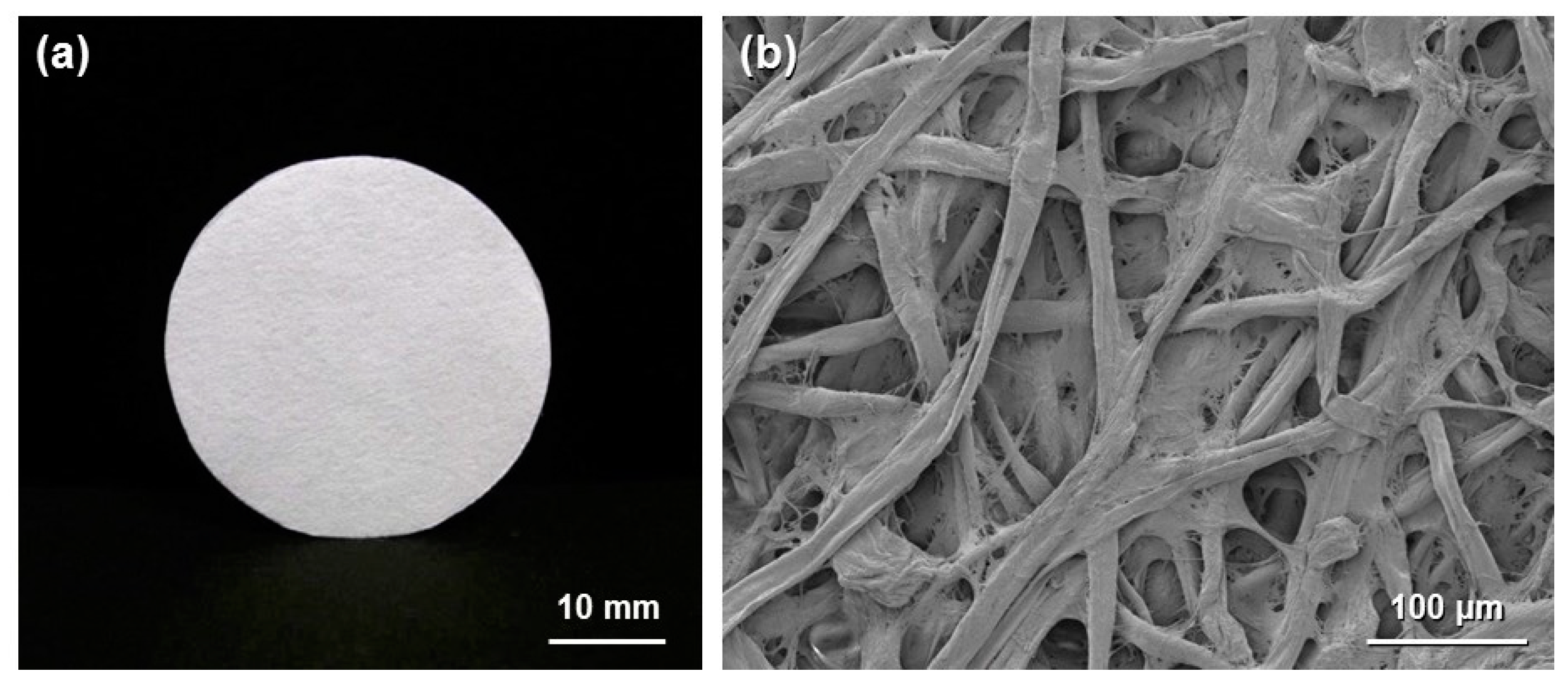 Molecules 20 01495 g001