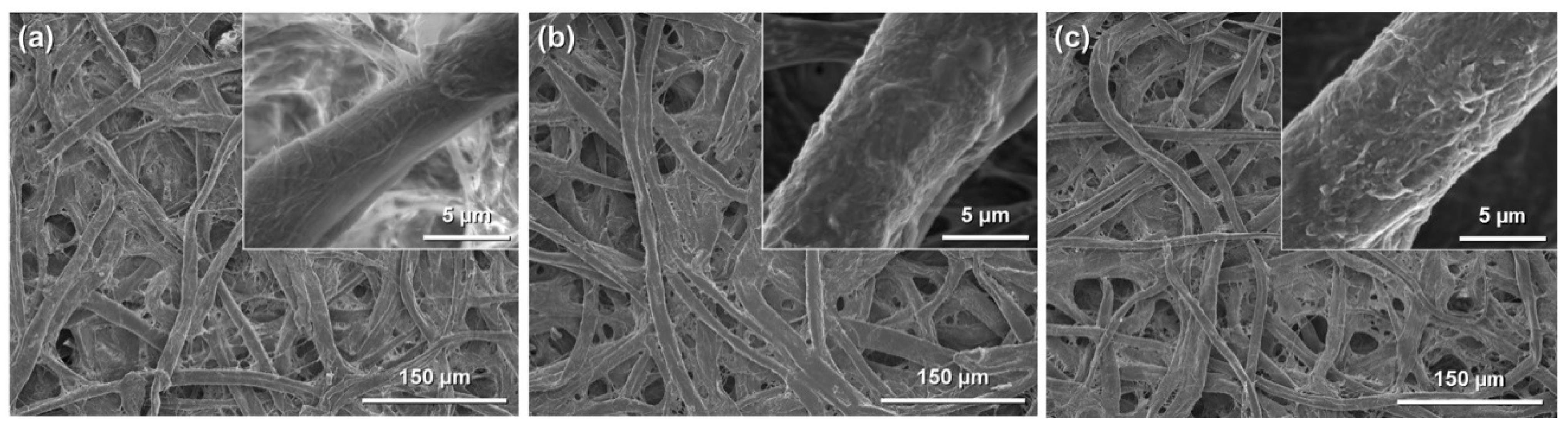 Molecules 20 01495 g004