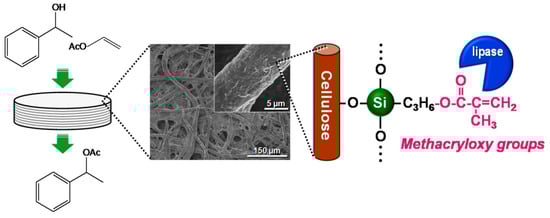 Molecules 20 01495 g007 550