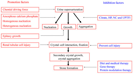 Molecules 20 01626 g008 550