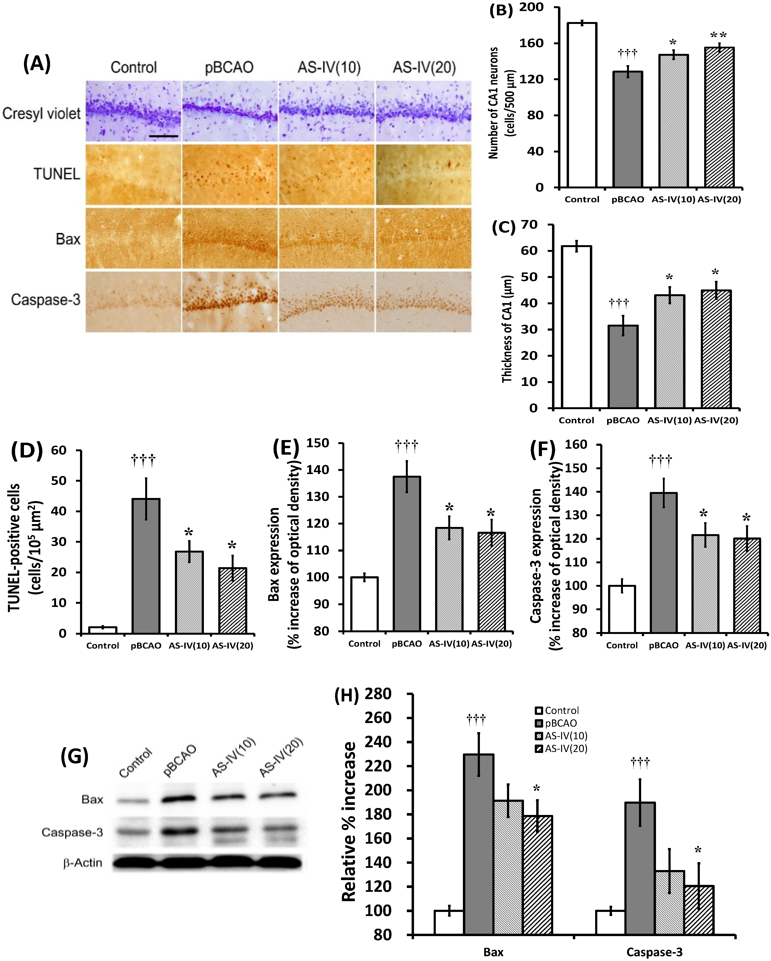 Molecules 20 01904 g004
