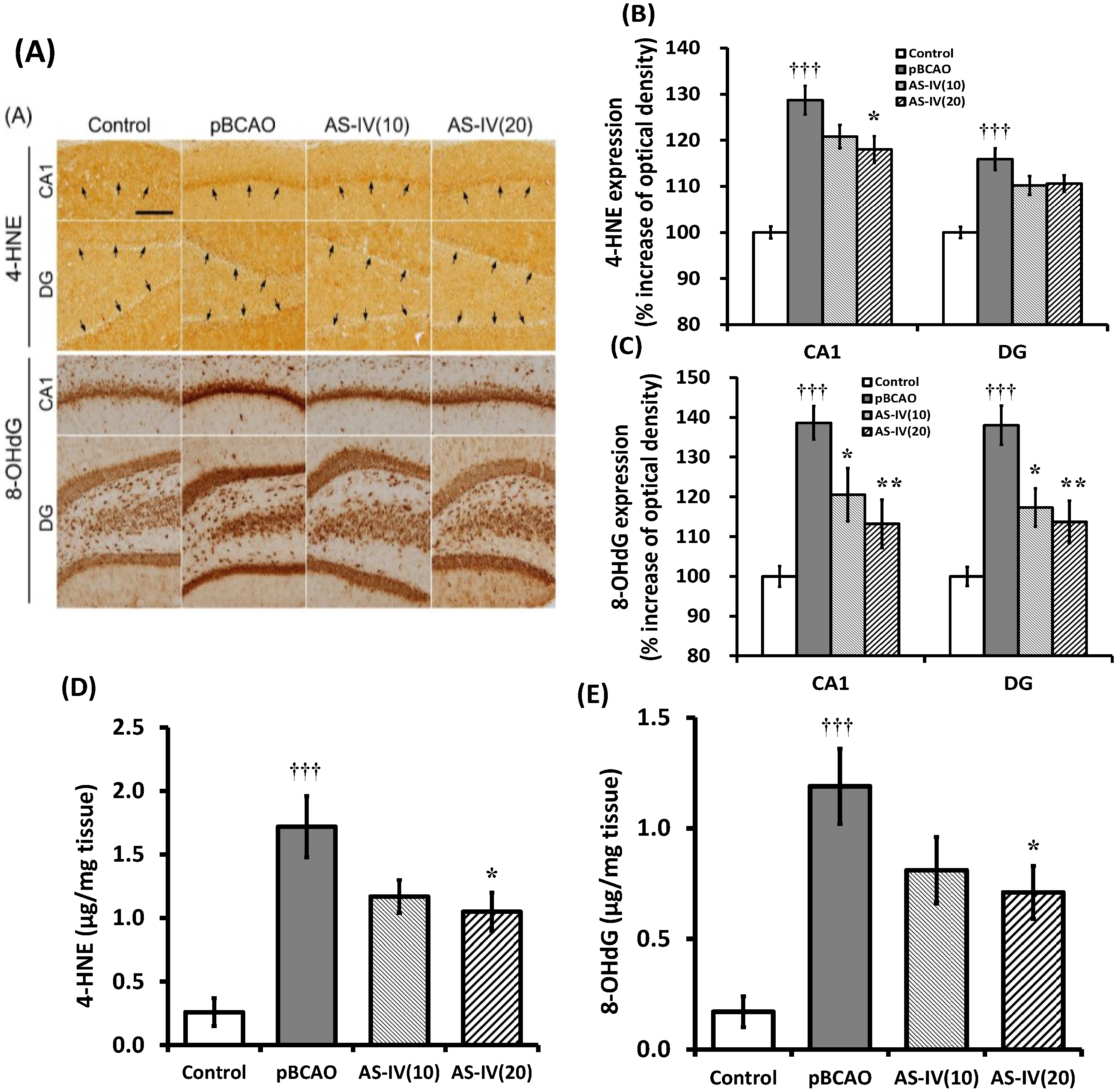 Molecules 20 01904 g006