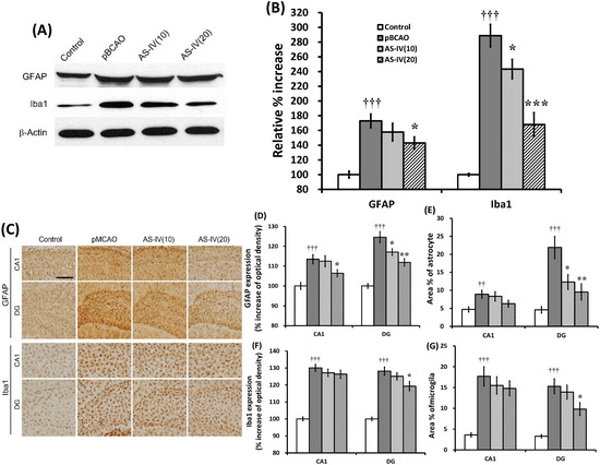 Molecules 20 01904 g007 550