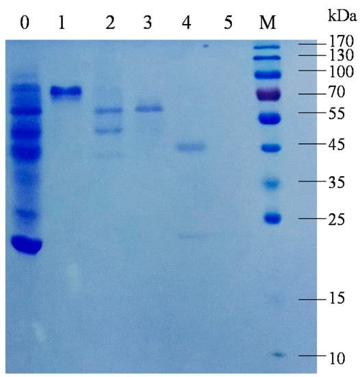 Molecules 20 01955 g002 550