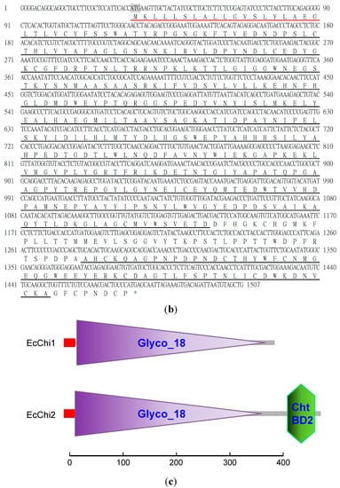 Molecules 20 01955 g003b 550