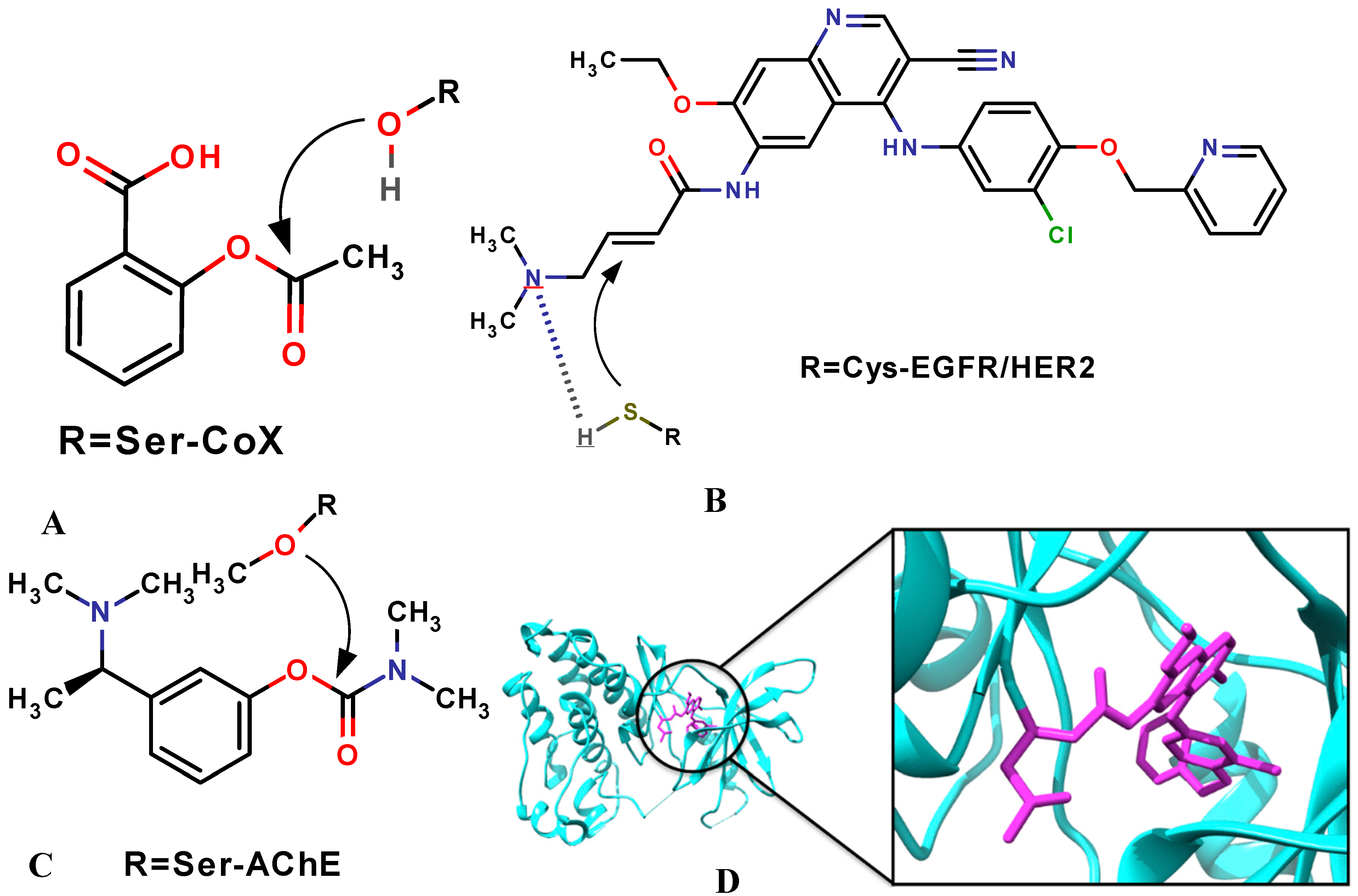 Molecules 20 01984 g001