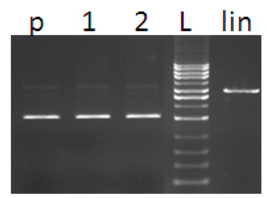 Molecules 20 02115 g010 550