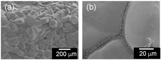 Molecules 20 02349 g002 550