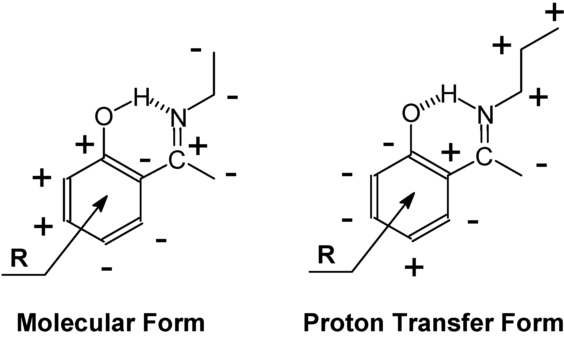 Molecules 20 02405 g019