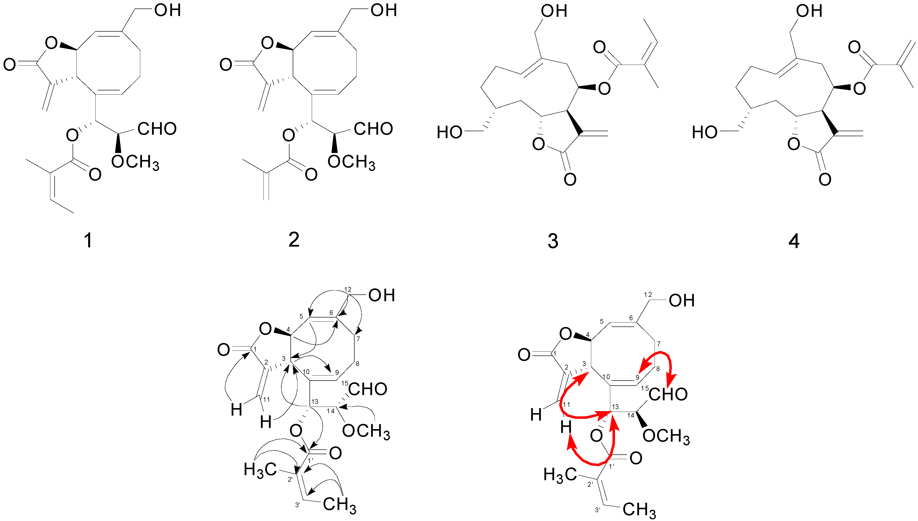 Molecules 20 02850 g001