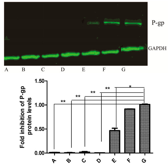 Molecules 20 02931 g006 550
