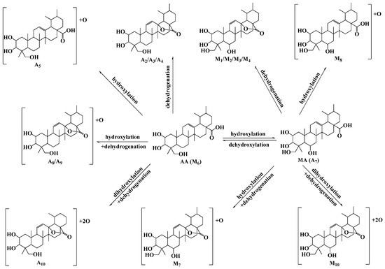 Molecules 20 03001 g006 550