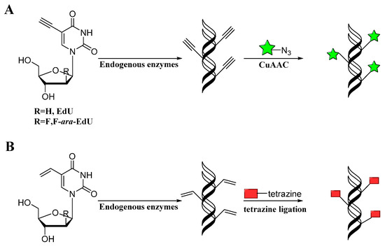 Molecules 20 03190 g009 550