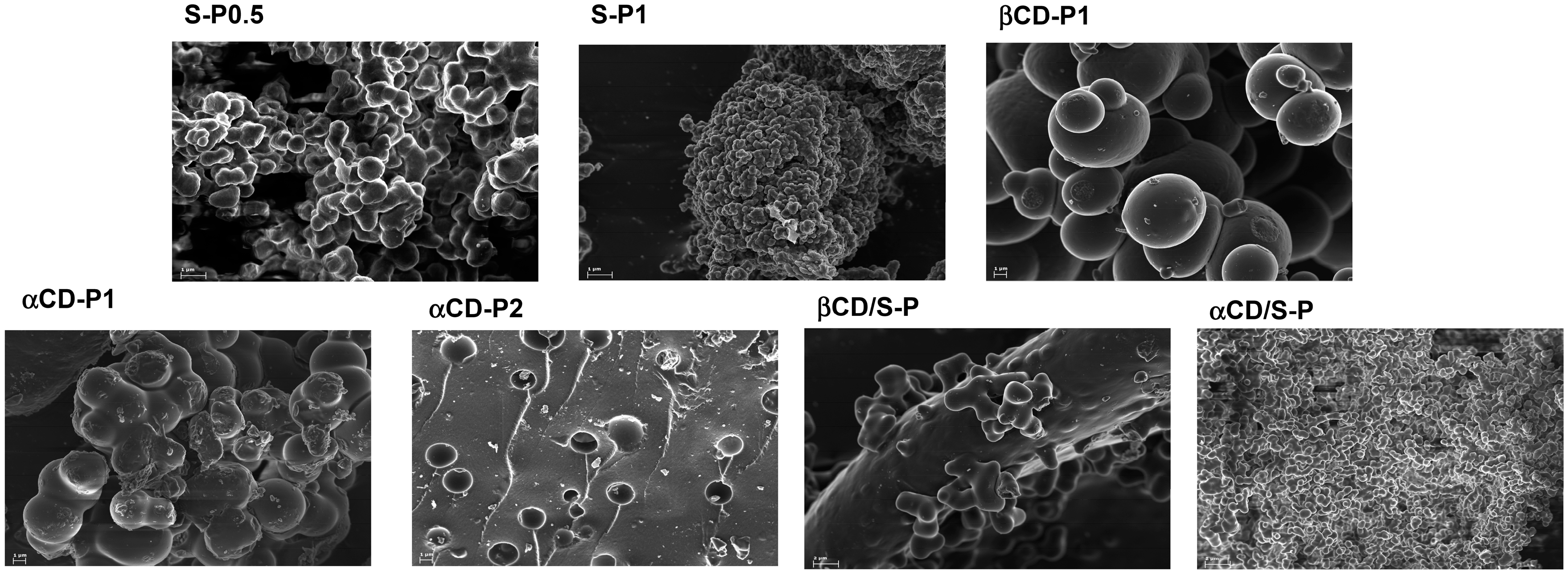 Molecules 20 03565 g001
