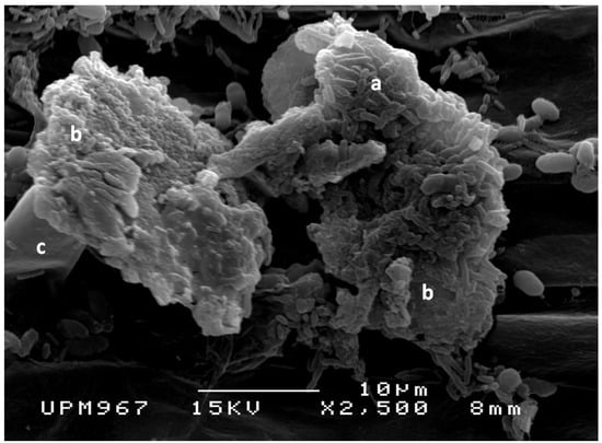 Molecules 20 03628 g001 550