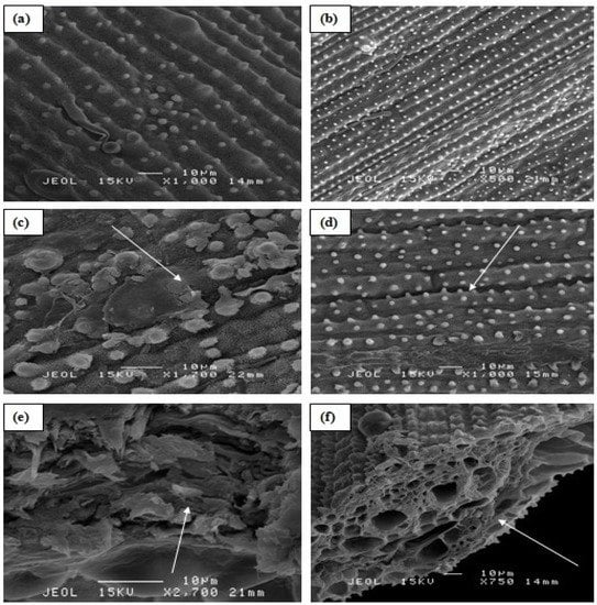 Molecules 20 03628 g005 550