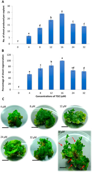 Molecules 20 03647 g001 550