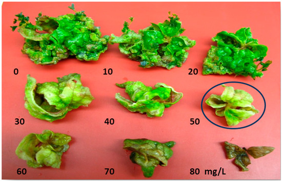 Molecules 20 03647 g003 550