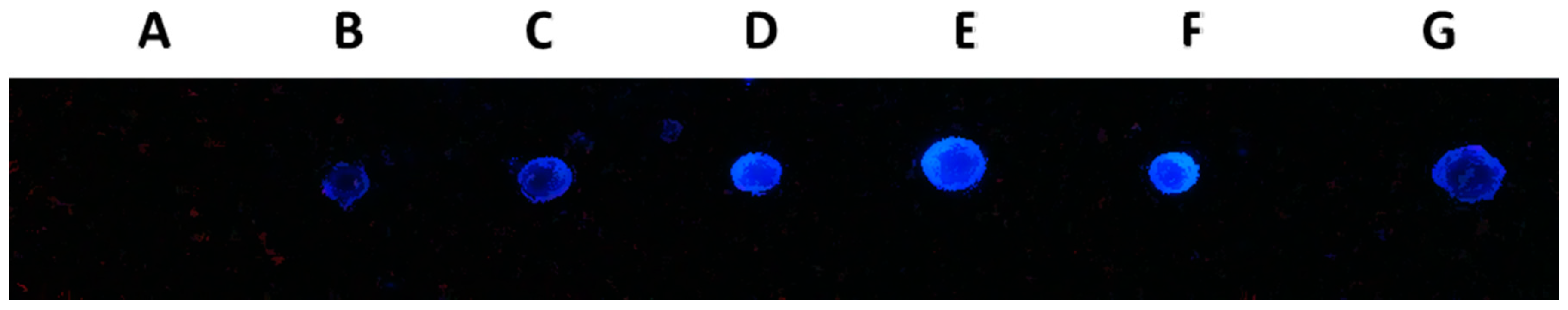 Molecules 20 03647 g005