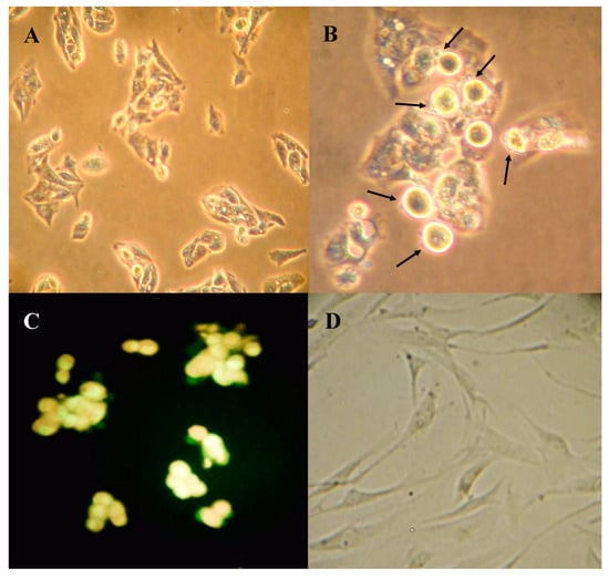 Molecules 20 03730 g004a 550
