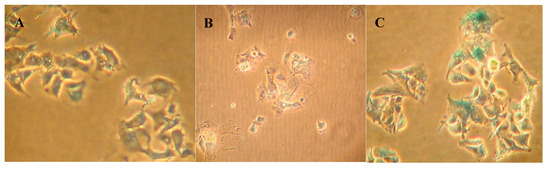 Molecules 20 03730 g005a 550