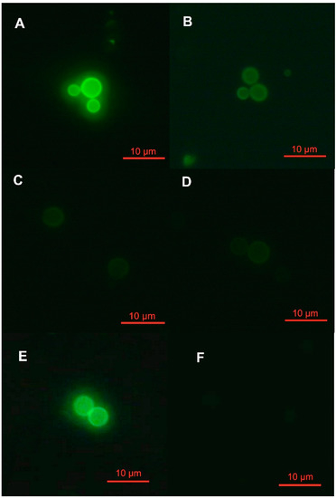 Molecules 20 03776 g001 550