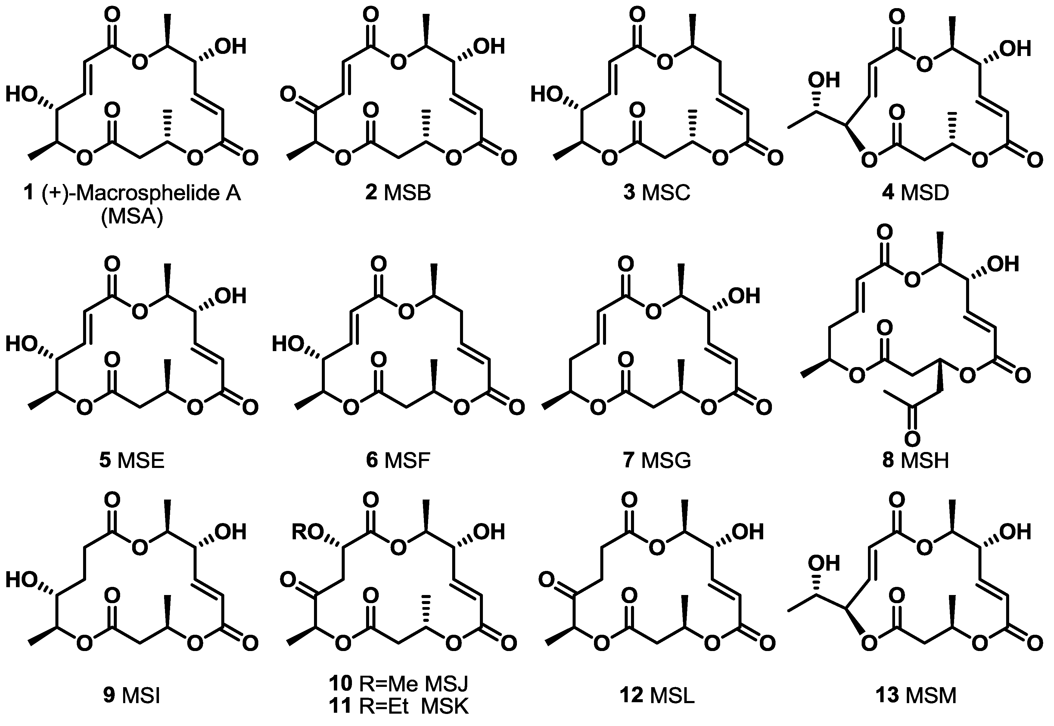 Molecules 20 04430 g001
