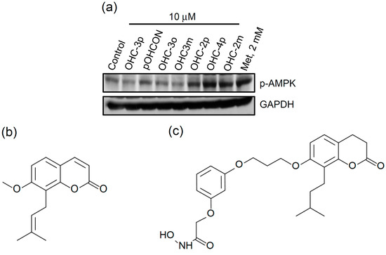 Molecules 20 04516 g001a 550