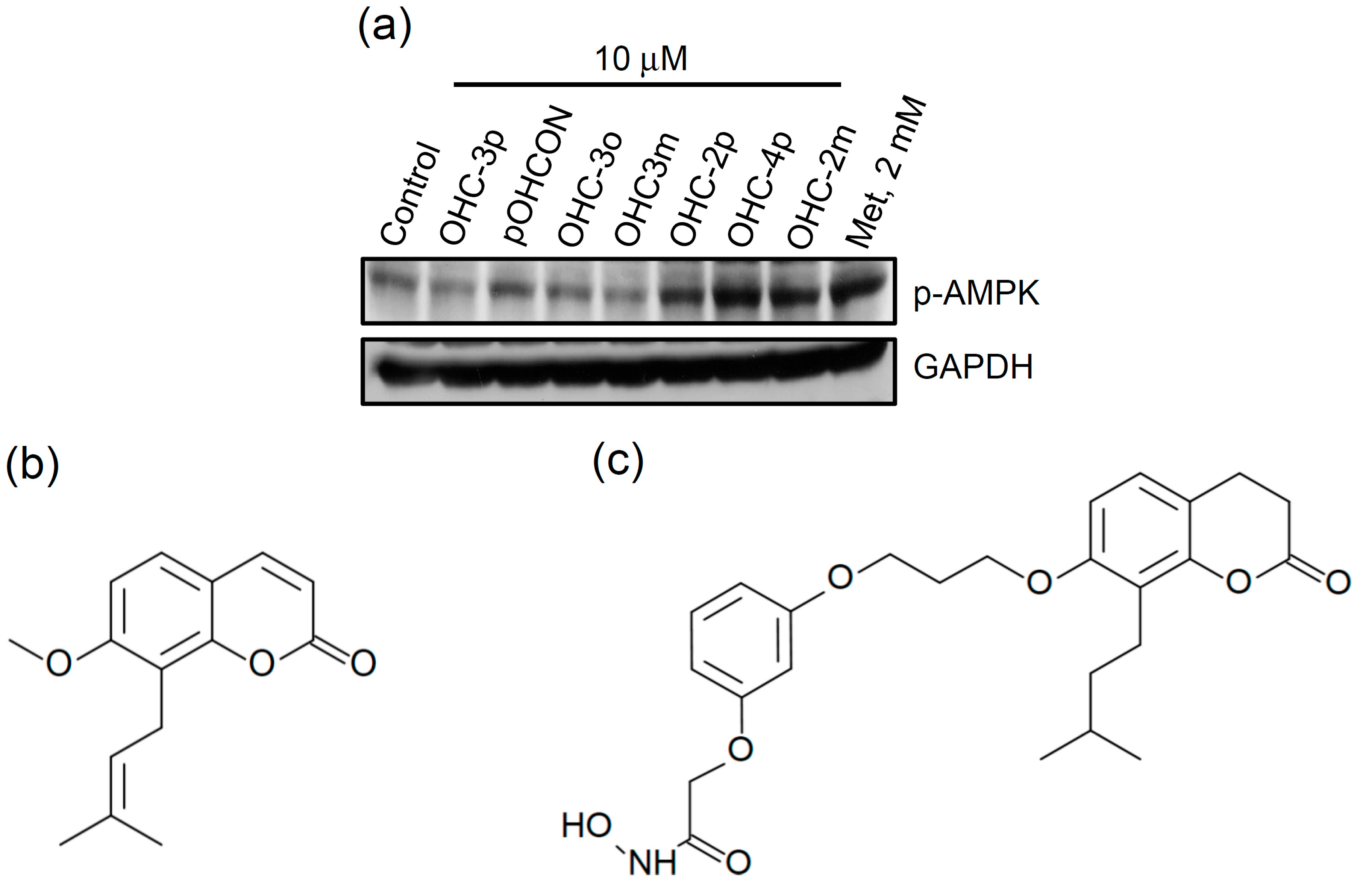 Molecules 20 04516 g001a