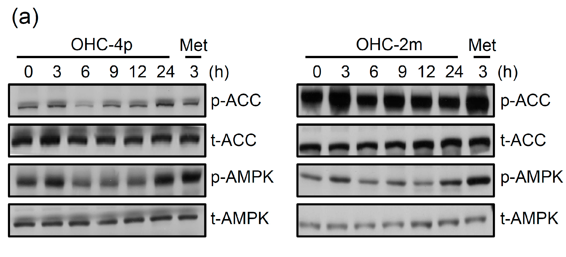 Molecules 20 04516 g003a