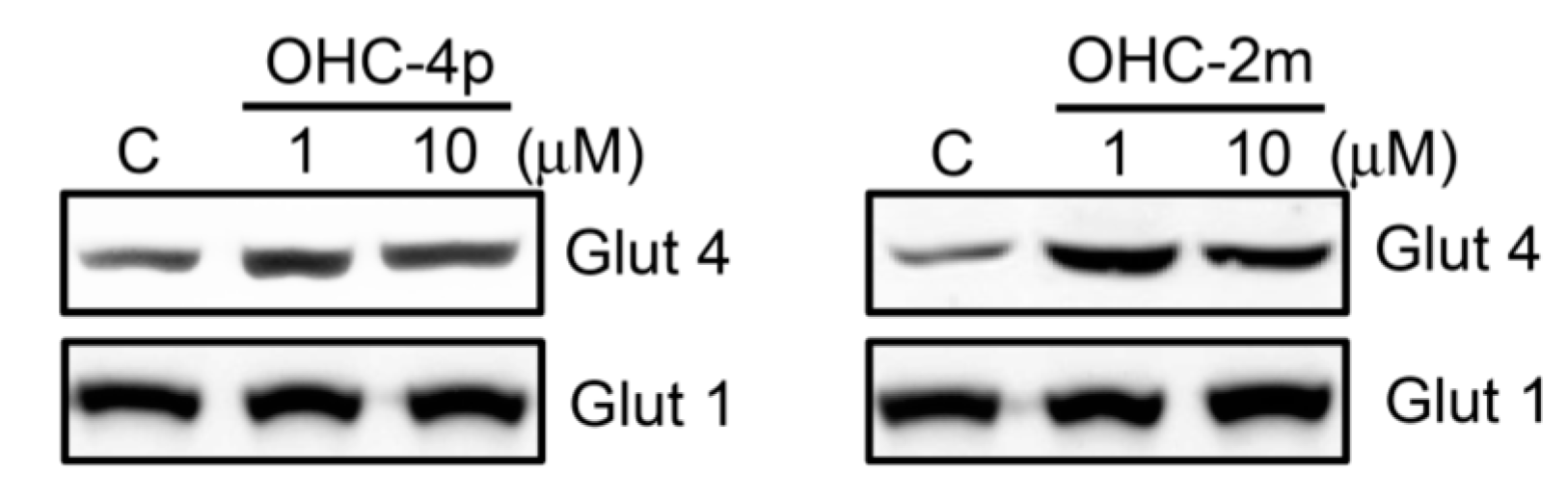 Molecules 20 04516 g005