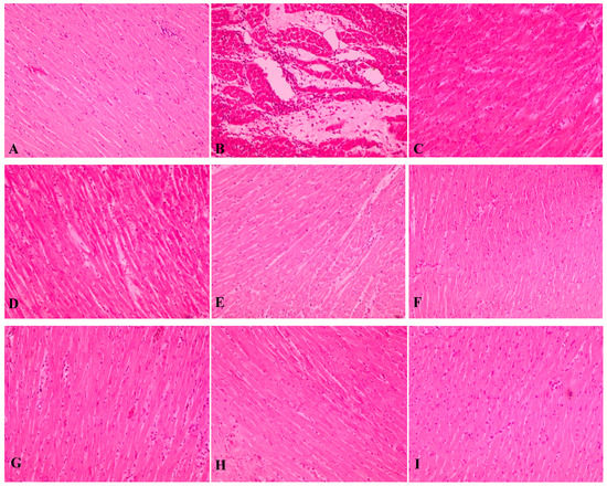 Molecules 20 04746 g004 550
