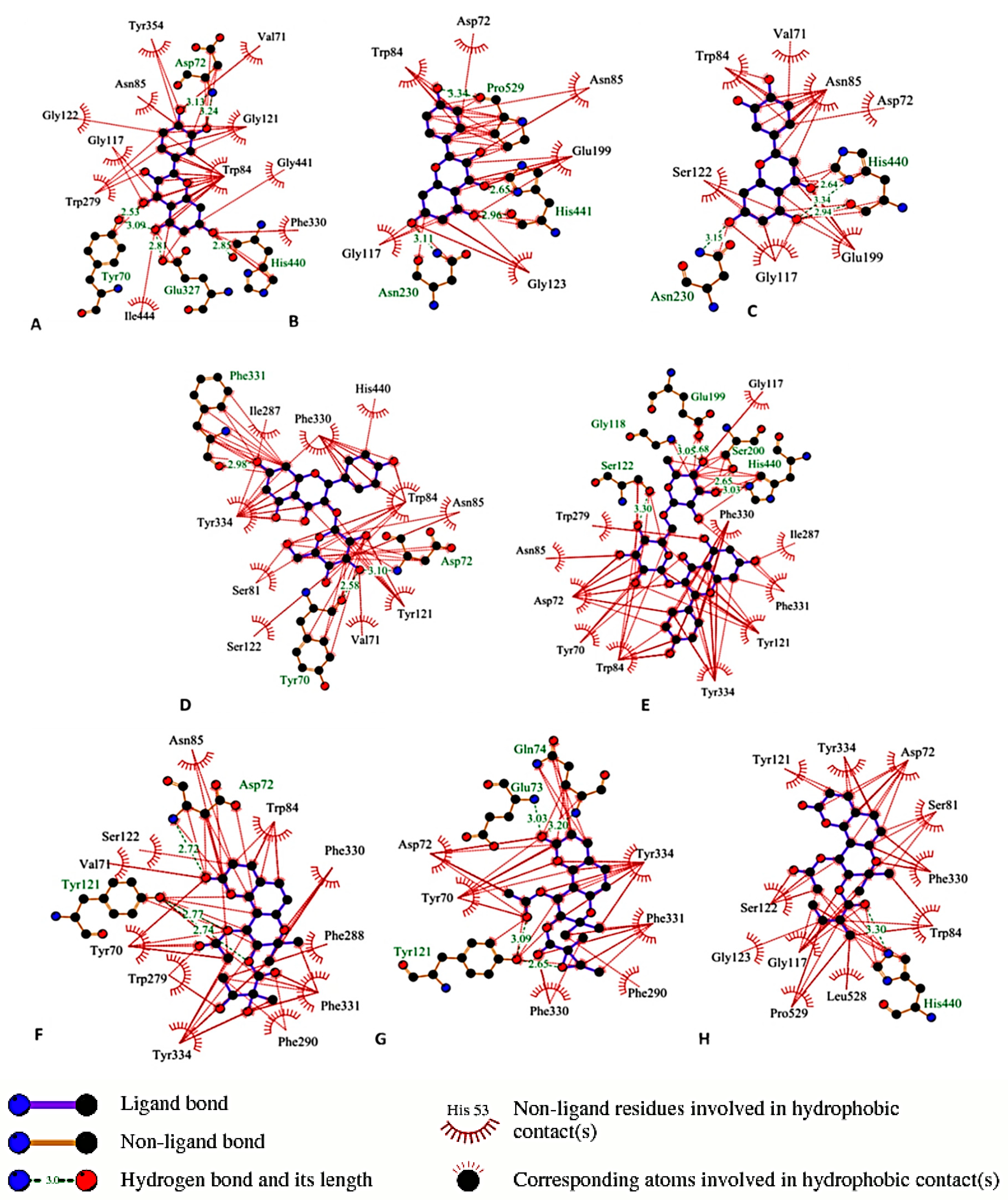 Molecules 20 04813 g002