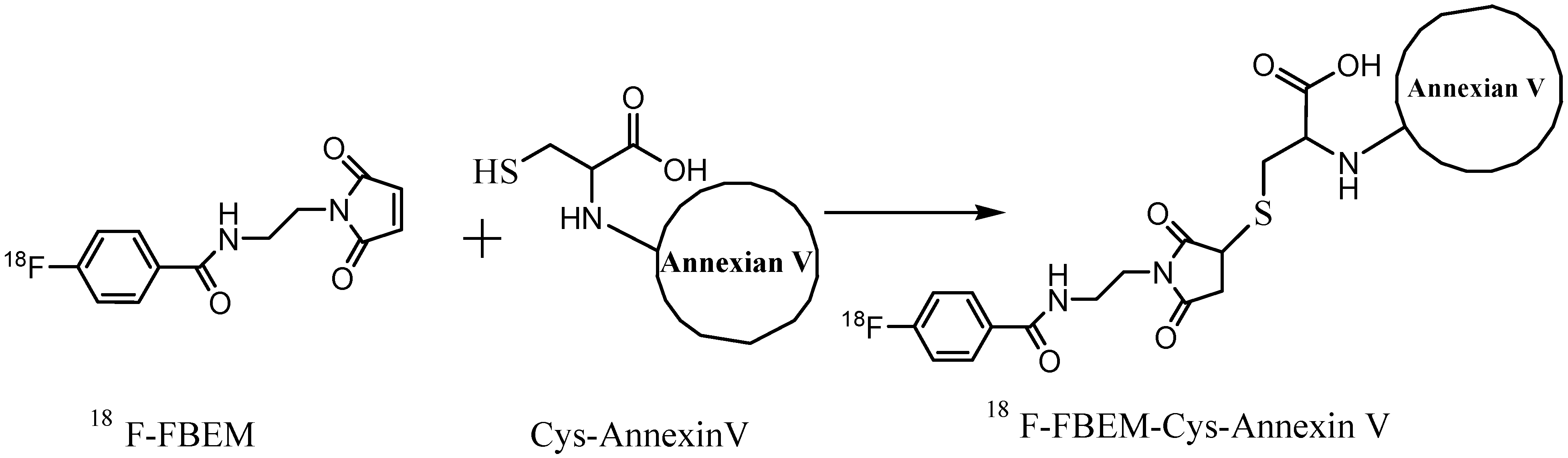 Molecules 20 04902 g007