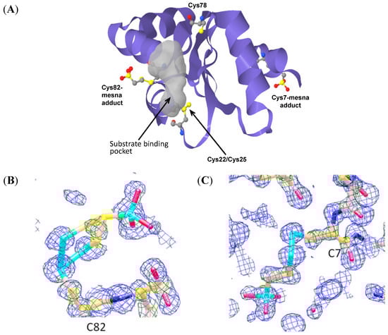Molecules 20 04928 g002 550