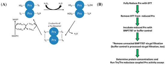 Molecules 20 04928 g003a 550