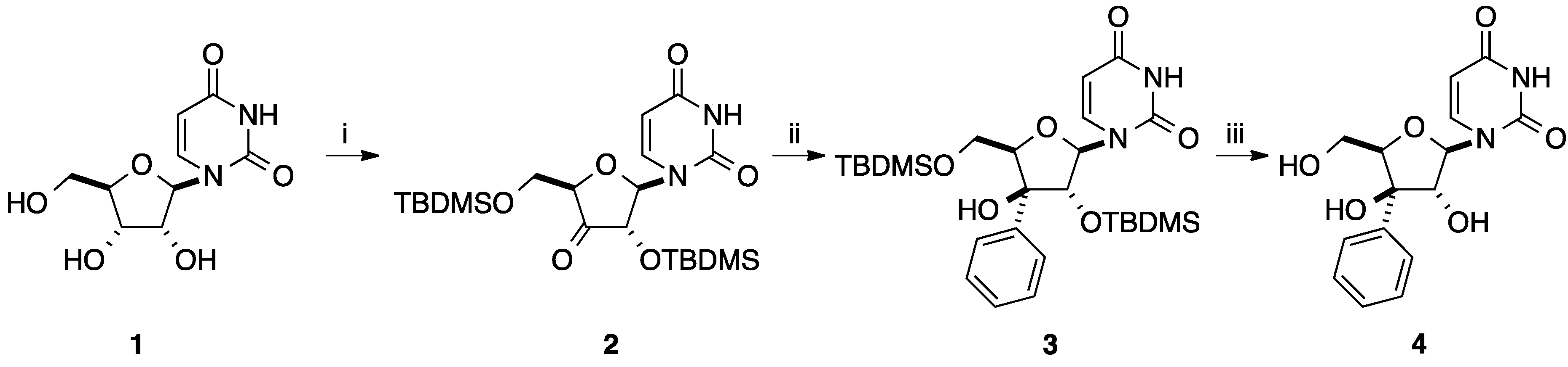 Molecules 20 04967 g013